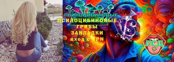 ПСИЛОЦИБИНОВЫЕ ГРИБЫ Алексин