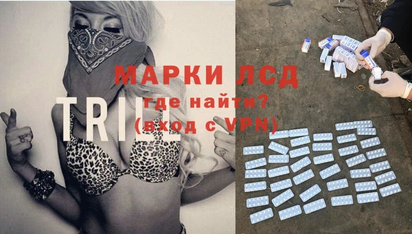 ПСИЛОЦИБИНОВЫЕ ГРИБЫ Алексин